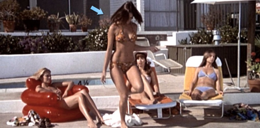 Barbara Leigh dentro biancheria intima