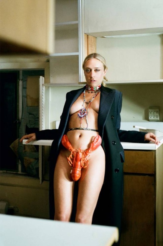 Chloe Stevens Sevigny figa 19
