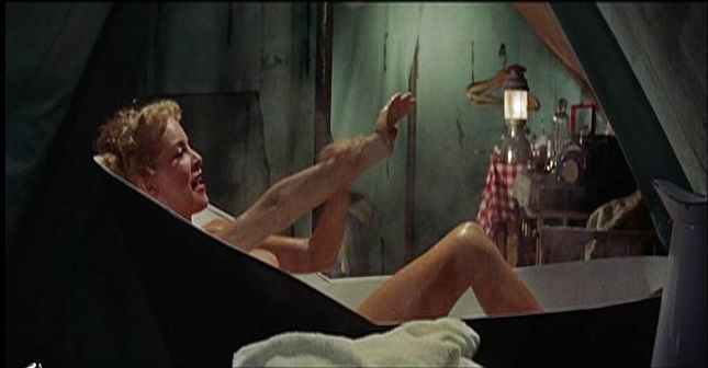 Janet Leigh calze