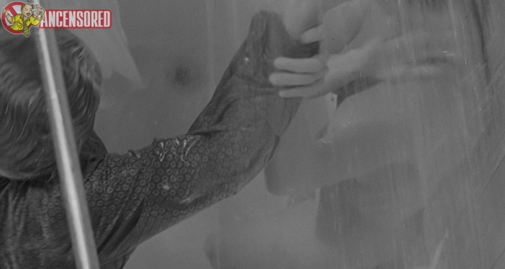 Foto esplicite di Janet Leigh: illuminata e sensuale con le sue calze.