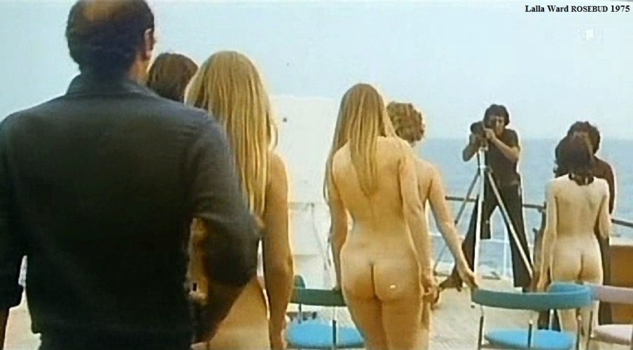 Lalla Ward gambe