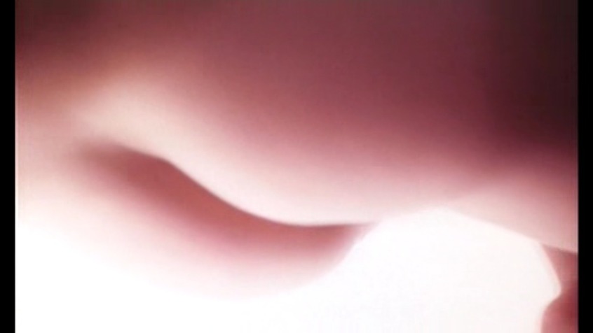 Pauline LaMonde le tette sono visibili 47